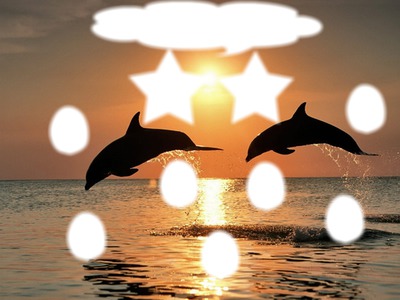 coucher de soleil dauphin Φωτομοντάζ