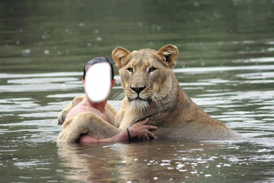 Lion Montaje fotografico