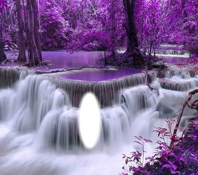 violet Photomontage