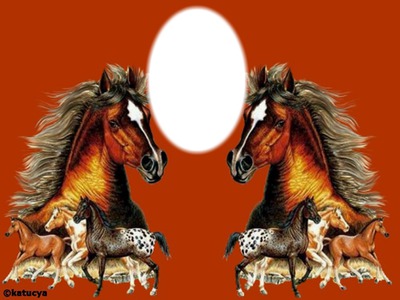 Chevaux indiens Photo frame effect