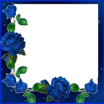 marco y rosas azules. Fotomontasje