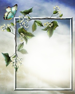 Nature fleurs et papillon Photomontage