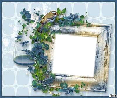 cage Photo frame effect