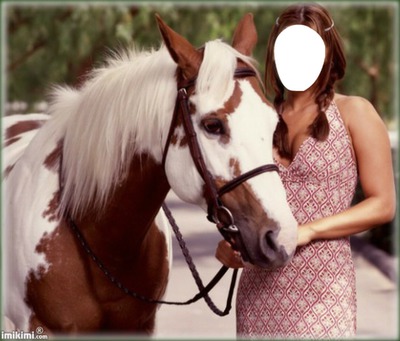 mi caballo Fotomontagem
