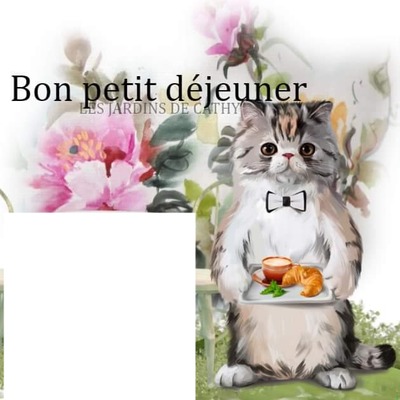 Petit déjeuner Fotoğraf editörü
