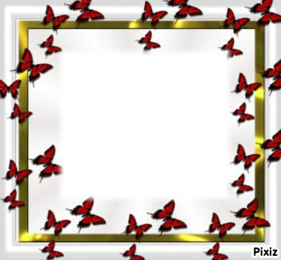cadre papillon Fotomontasje