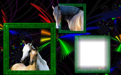 Cadre chevaux Fotomontage
