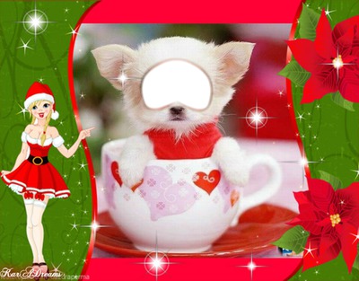 CHRISTMAS PUPPY Photo frame effect