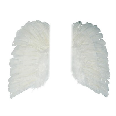 ailes d'anges Фотомонтажа