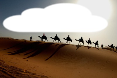desert chameaux Photo frame effect
