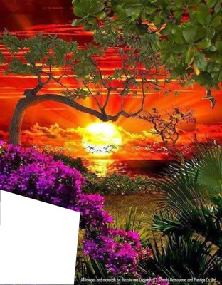 paysage Montage photo