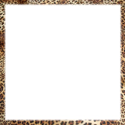 Cadre léopard Photomontage