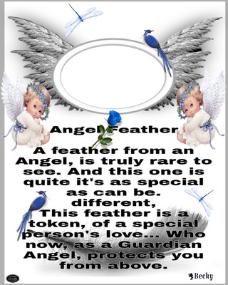angel feather Photo frame effect