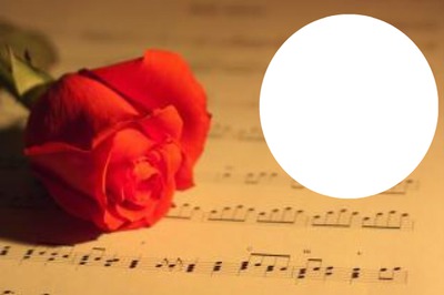 Rosa y Música Φωτομοντάζ
