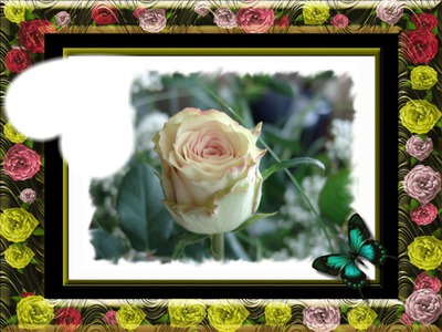 la beautée des roses Фотомонтаж