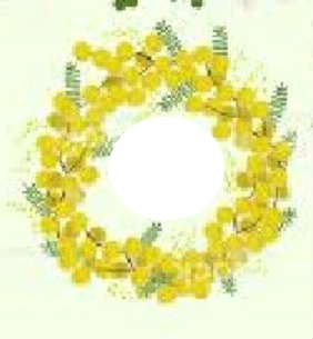 couronne de mimosa Photomontage
