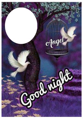 angel good night Fotomontasje