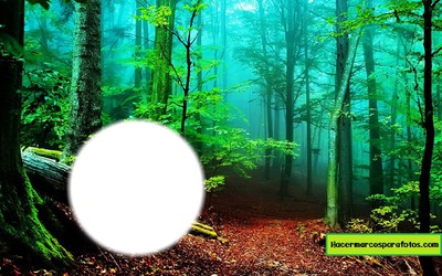 Bosque Fotomontage