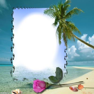 "Cadre palmier" Photo frame effect