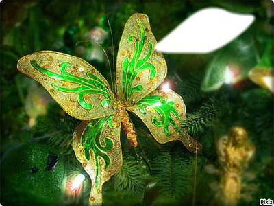 papillon d'or Фотомонтажа