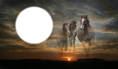 chevaux galop Photo frame effect