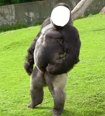 gorille Fotomontāža