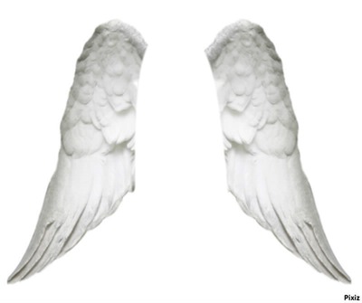 Angel wings Fotomontaggio