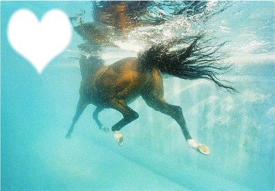 la mer et le cheval... フォトモンタージュ
