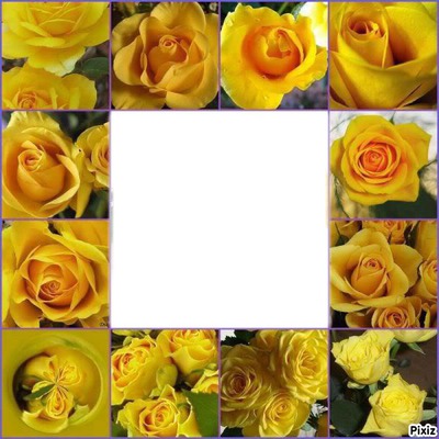Yellow roses Фотомонтажа