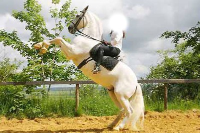 cabre avec ton cheval Photo frame effect
