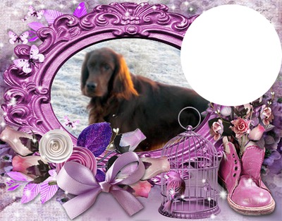 Dogs Photo frame effect
