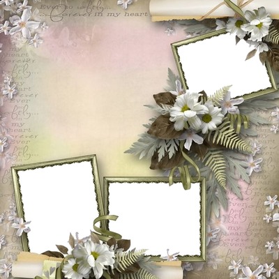 marco lila y flores para 3 fotos. Fotomontáž