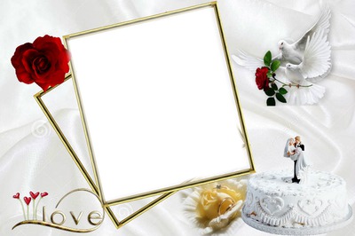 Cadre mariage Photo frame effect