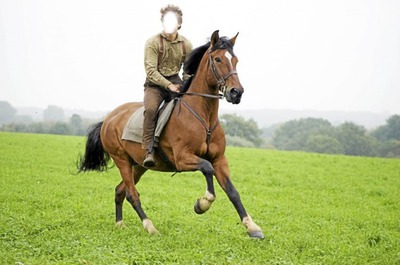 cheval de guerre Fotomontāža