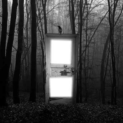 Dark forest Fotomontaggio