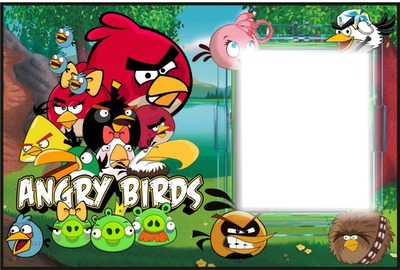 angry birds Fotomontage