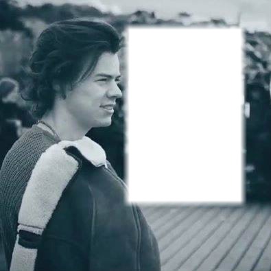 Harry Styles Fotomontage