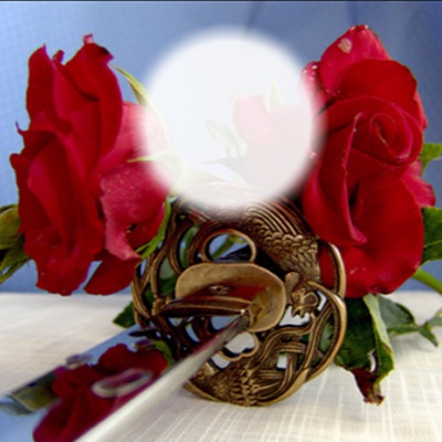 ROSE AND SWORD Photomontage