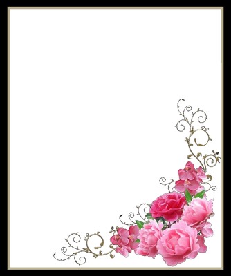 marco y rosas rosadas1. Fotomontage