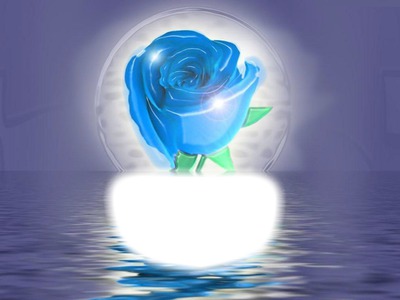 Rose bleue Фотомонтажа