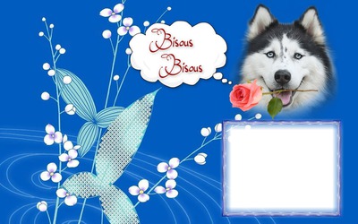 Message Photo frame effect