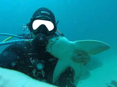 plongéé requin Fotomontáž