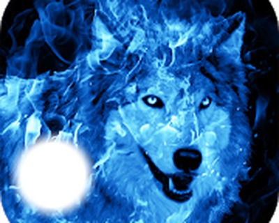 "blauwe wolf" フォトモンタージュ