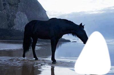 cheval et la mer Фотомонтажа