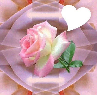 rose rose Fotomontāža