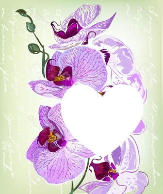 orchidee Fotomontaggio