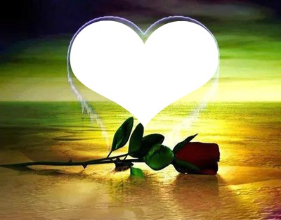 coeur avec une rose 1 photo Фотомонтаж