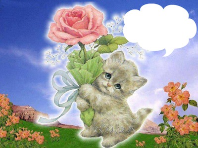 gatito con rosa Fotomontaggio