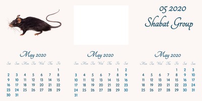 May 2020 // English // 2020 to 2055 Calendar // 2020.02.15 Fotomontáž