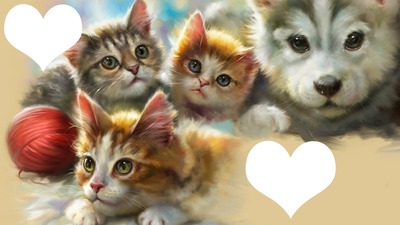 cats and dogs Photo frame effect